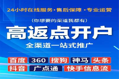 百度SEO推广案例：实战解析与优化建议